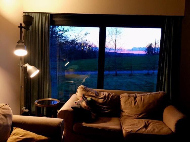 Bungalow Rochehaut Au Calme Dış mekan fotoğraf